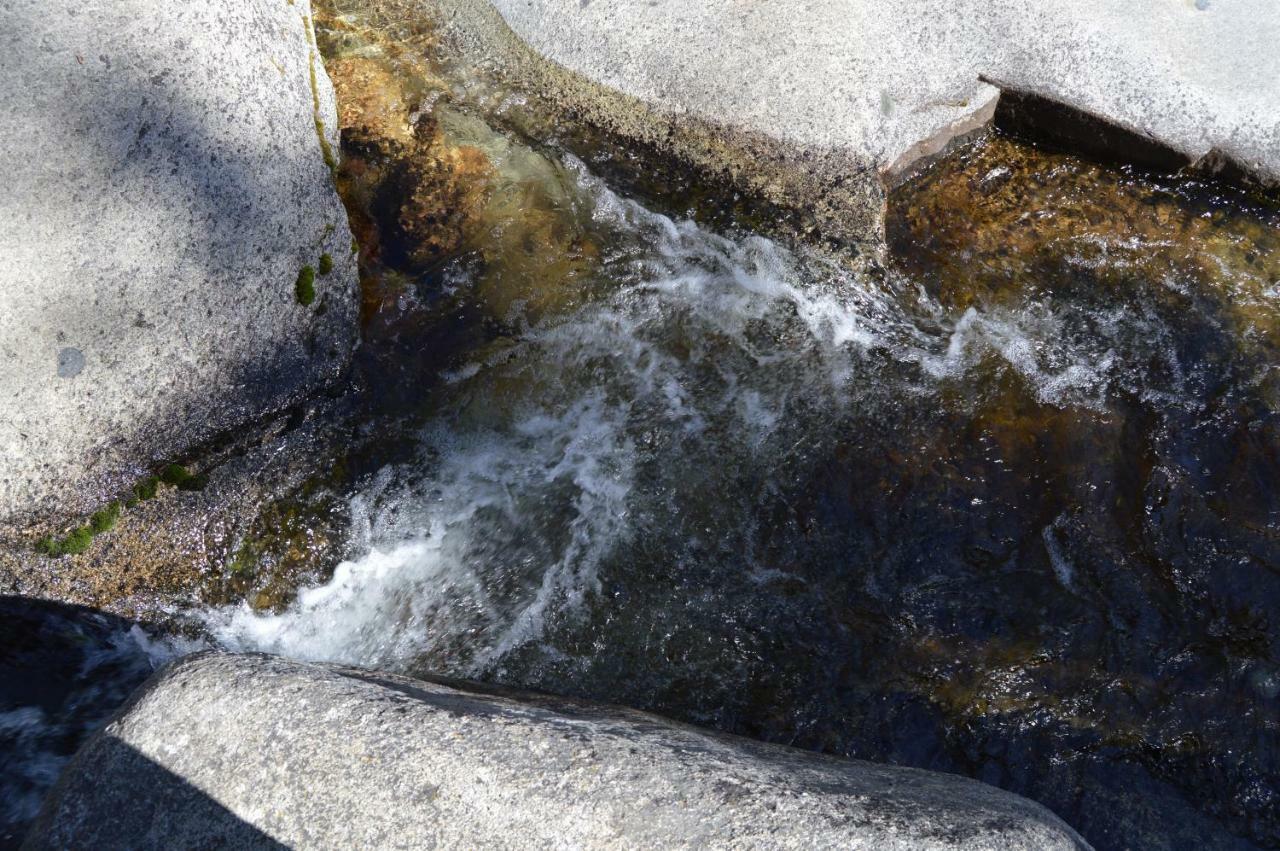 Stony Creek Lodge Sequoia National Park Luaran gambar