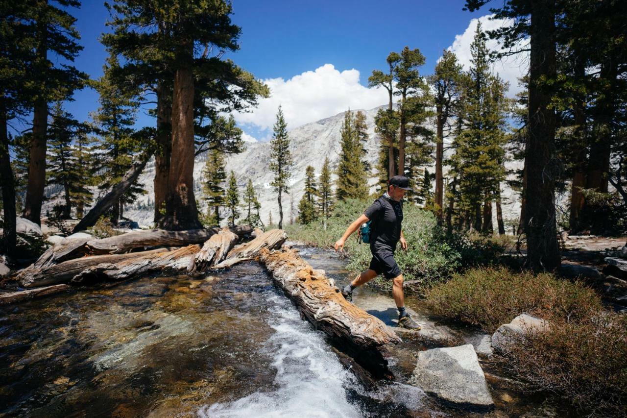 Stony Creek Lodge Sequoia National Park Luaran gambar